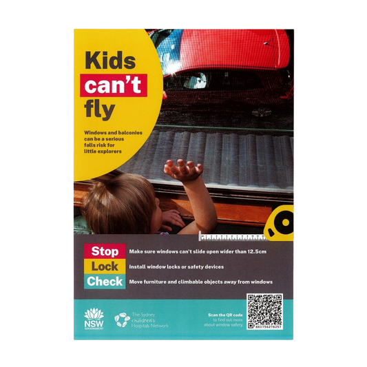 Kids Can't Fly A2 Poster - Download Resource - PDF