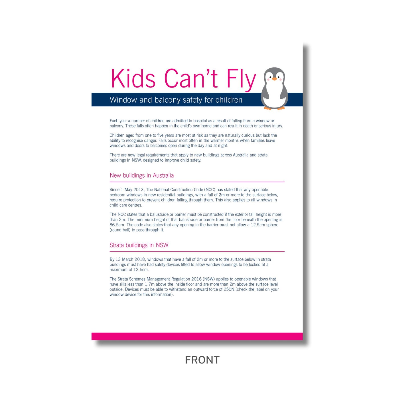 Kids Can't Fly - Flyer