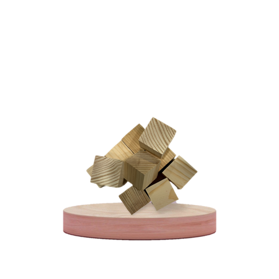 FRACP Candidate Exam - Wooden Blocks - Plain - 1 Inch - Pk 10
